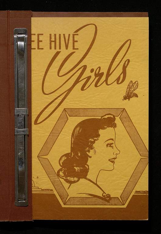 Bee Hive Girls Handbook
